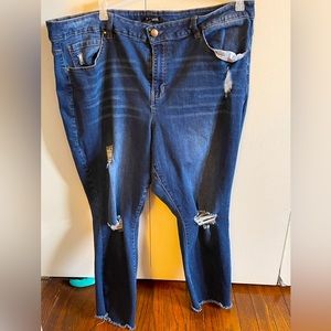 D.JEANS PLUS SIZE